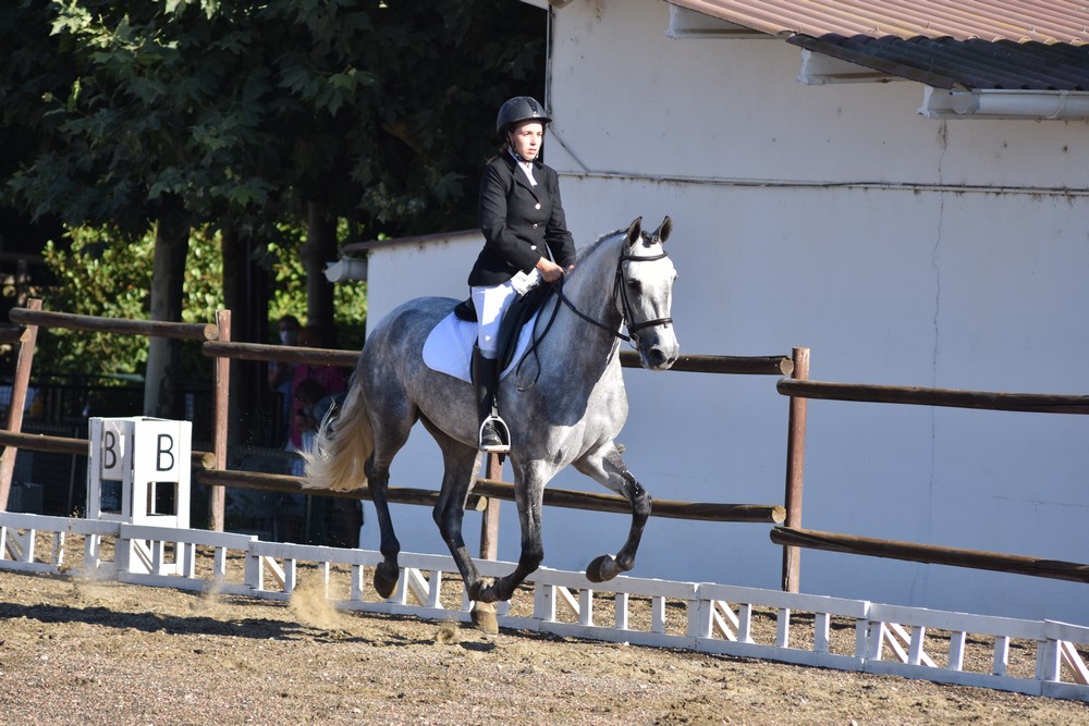 Un sol de justicia acompaña el inicio del Campeonato Navarro de Doma Clásica y Adaptada